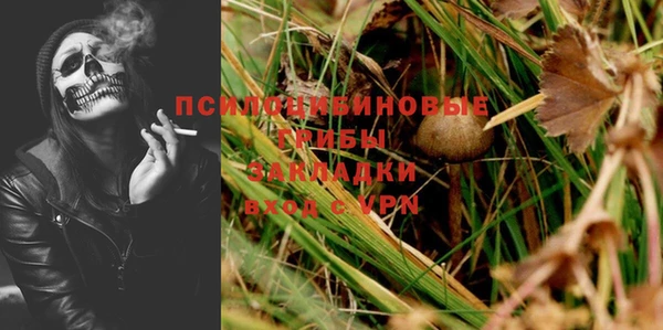 соль ск Аркадак