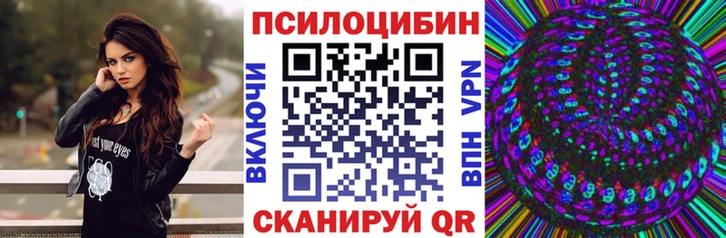 Галлюциногенные грибы MAGIC MUSHROOMS  сколько стоит  Куйбышев 